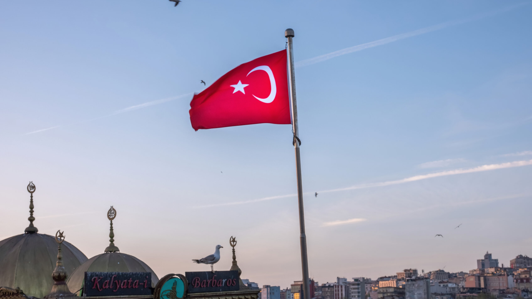 Red flag of Turkey in the foreground of flying seagulls and local architectural buildings